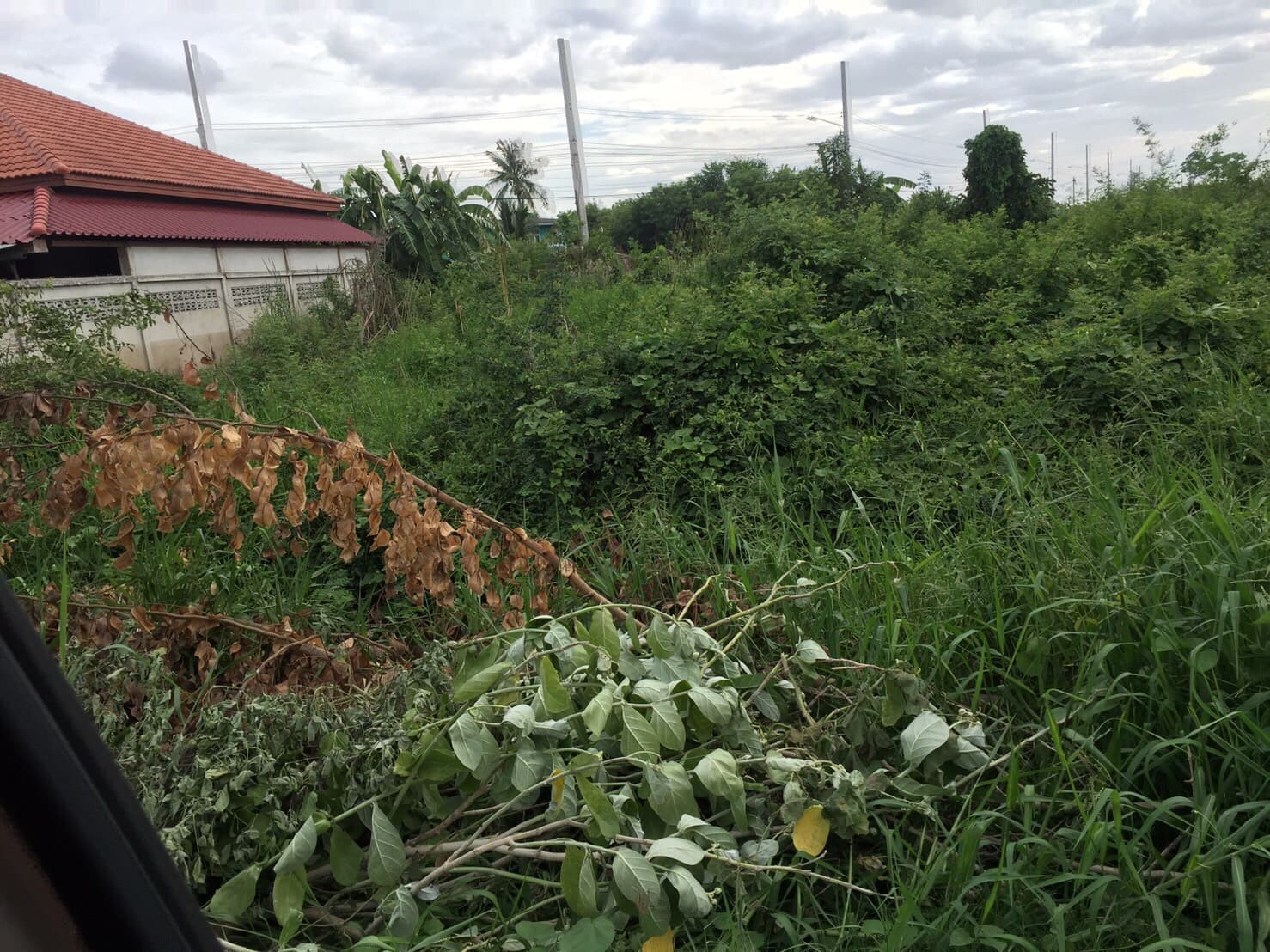 ขายที่ดินราคาถูก อ.ไทรน้อย จ.นนทบุรีติดถนนเลียบคลองกำนันชื้นห่างจากโรงงาน SQP ไทรน้อย 200 เมตร