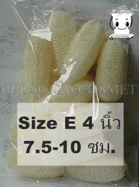 ลูกบวบ หรือ รังบวบ E 4 นิ้ว(7.5-10.5ซม)