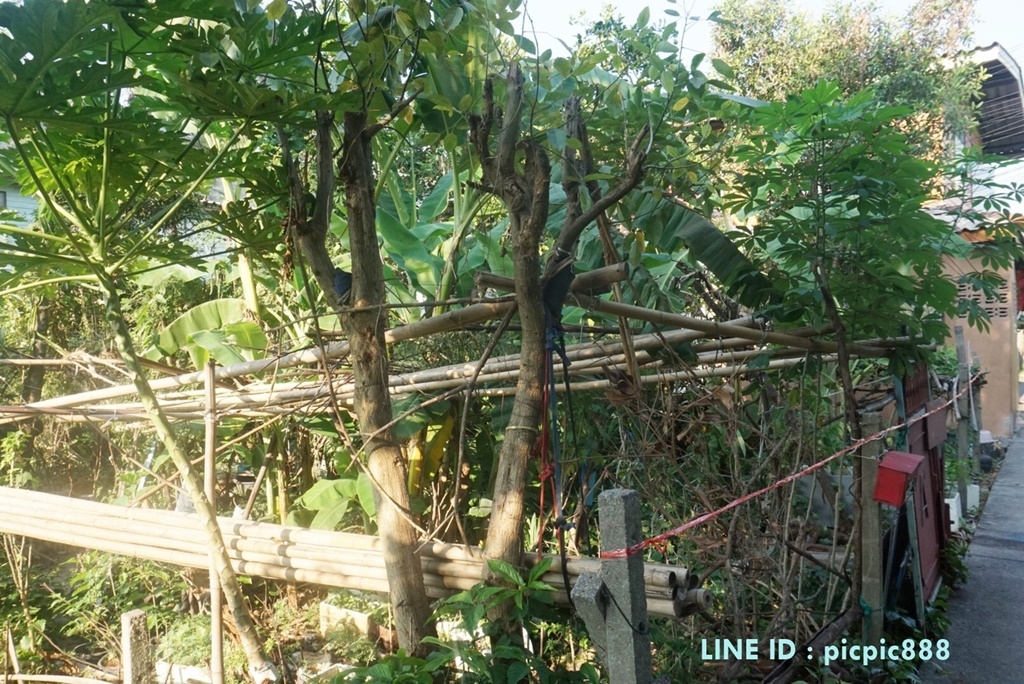 ขายที่ดินเปล่าใจกลางเมือง ต่ำประเมิน เขตบางซื่อ กรุงเทพนนท์ 21 ข้างชุมชนวัดเชิงหวาย 50 ตร.ว