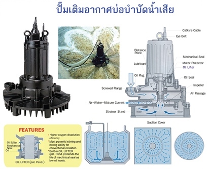 TSURUMI PUMP ปั๊มเติมอากาศบ่อบำบัดน้ำเสีย รุ่น 32TRN2.75
