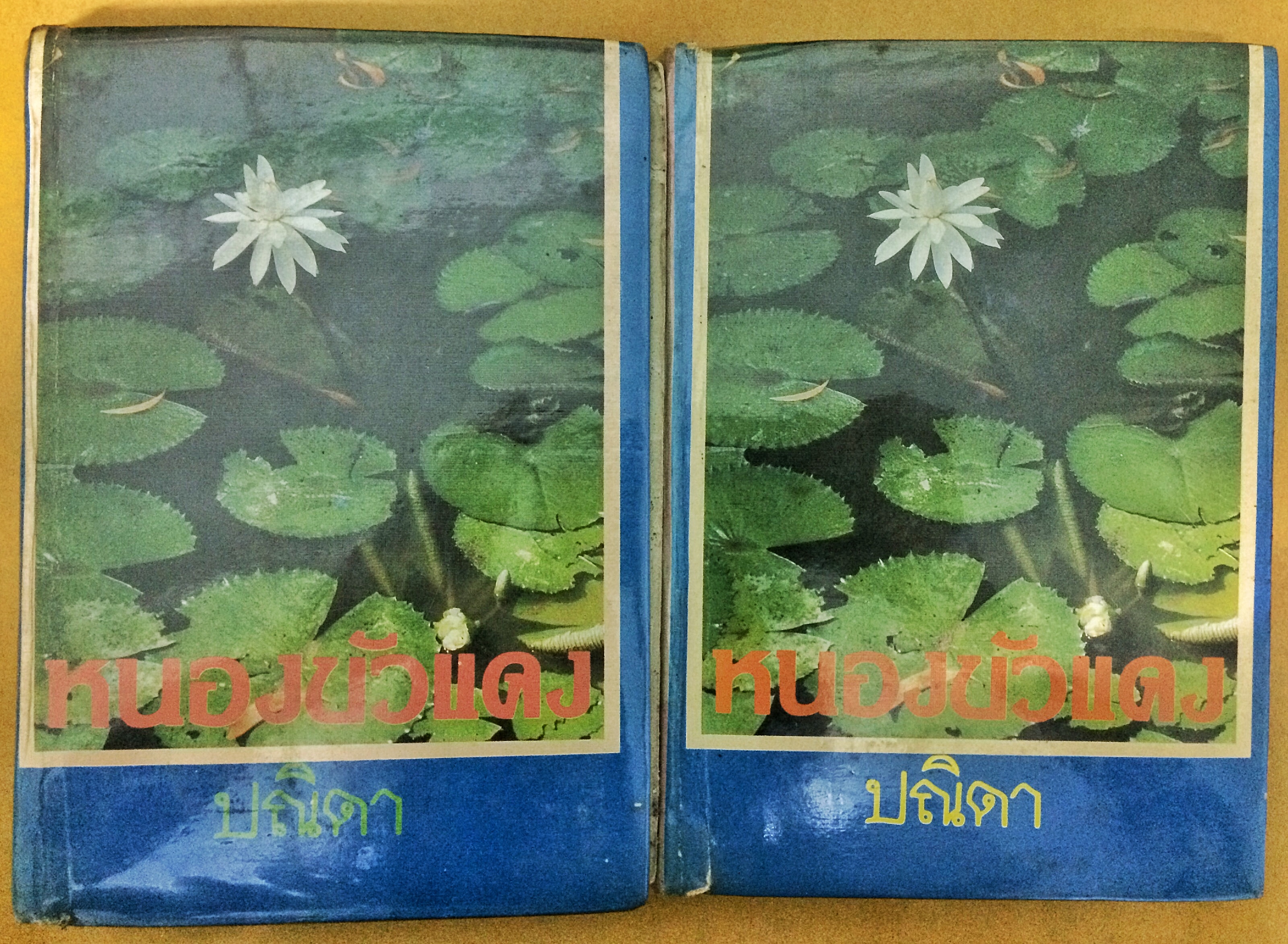 หนองบัวแดง (1-2เล่มจบ)