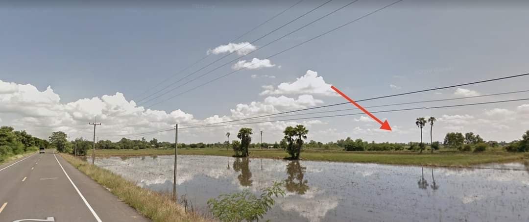 ขายที่ดิน อ.สามชุก จ.สุพรรณบุรี 12 ไร่ 3 งาน 68 ตรว. ใกล้ถนนหลวงชนบทสุพรรณบุรี (4022) 200 ม.เหมาะแก่การทำการเกษตรบรรยากาศดีเดินทางสะดวกใกล้โรงเรียนบ้านหนองบัวทอง 600 เมตร