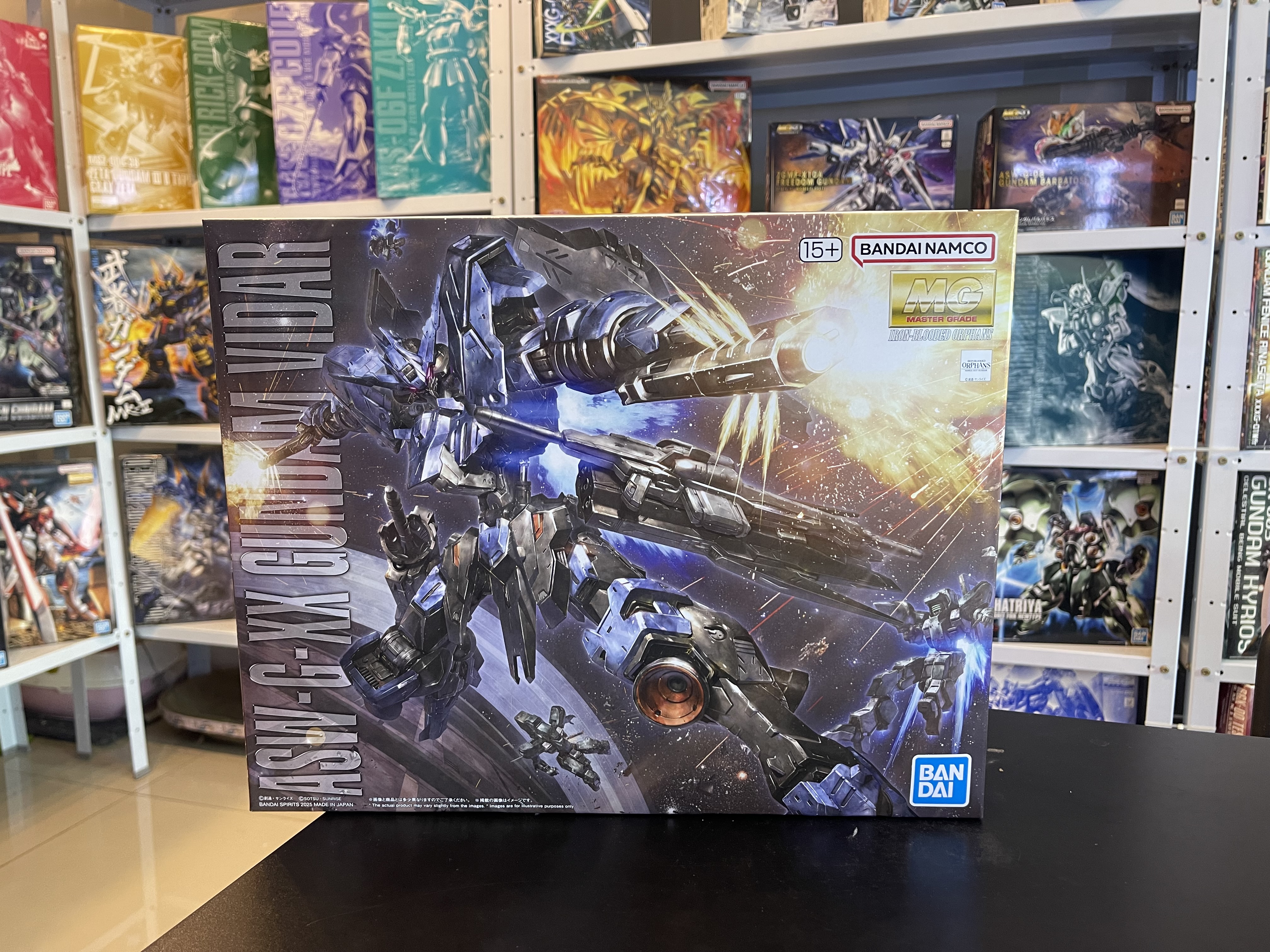 MG 1/100 GUNDAM VIDAR BANDAI
