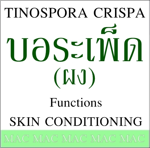 TINOSPORA CRISPA ผงบอระเพ็ด
