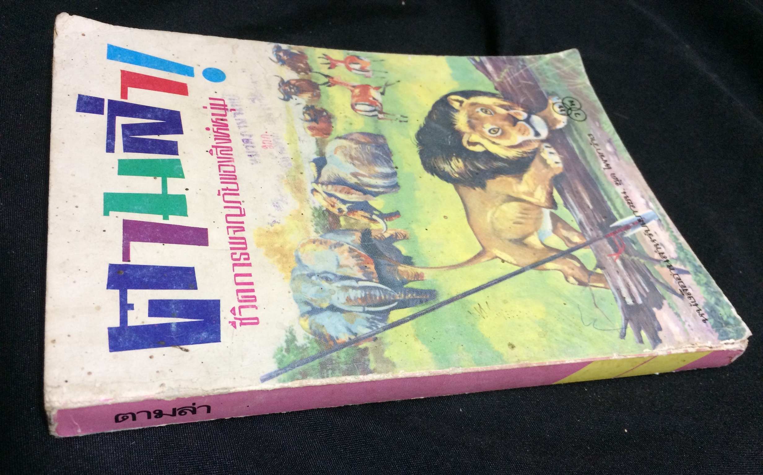 ตามล่า! ชีวิตการผจญภัยของสิงห์หนุ่ม