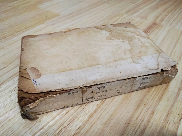 โลกเก่าโลกใหม่ (ตำหนิ)