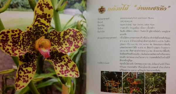 พรรณไม้งามในวังสระปทุม