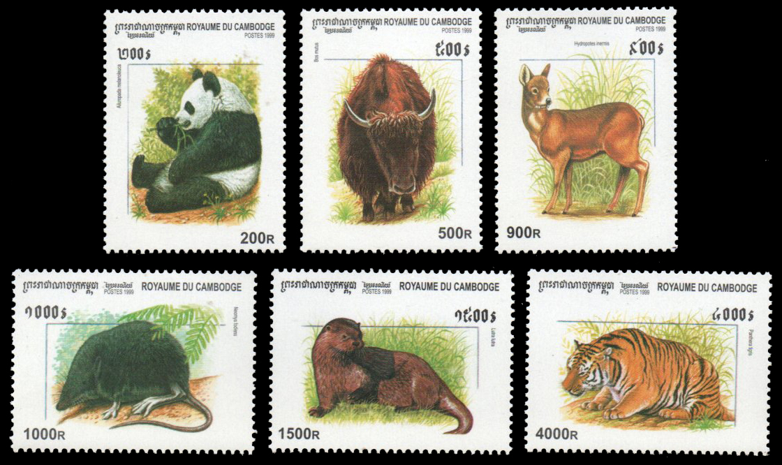 1999 Mammals