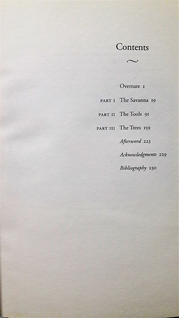 Gaviotas : A Village to Reinvent the World