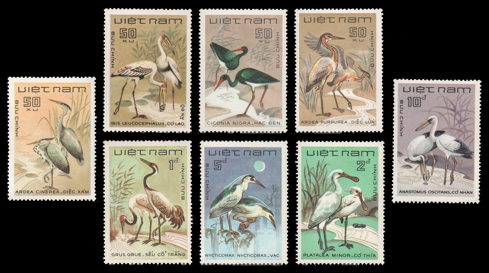1983 Birds