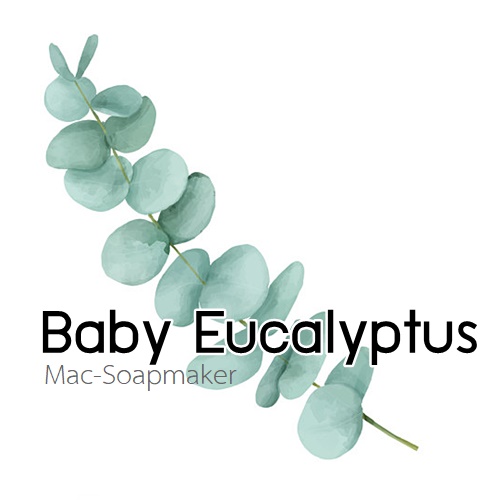 Eucalyptus : Baby Eucalyptus น้ำมันหอมระเหยผสม เบบี้ยูคาลิปตัส Fresh Green spicy หอม สะอาด ปลอดโปร่ง สบาย ละลายในแอกอฮอล์และน้ำมัน