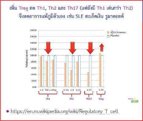 BIM100 นอไรซิส BIM100 นอไรซิส