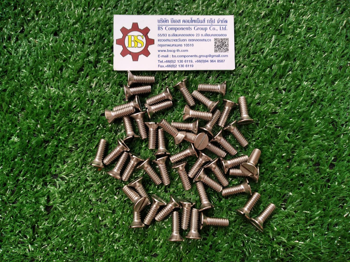 TOPWELD : Stainless Steel Bolt For Support T-BS26 Stainless Steel Bolt Taper Head size 1/4" x 3/4"