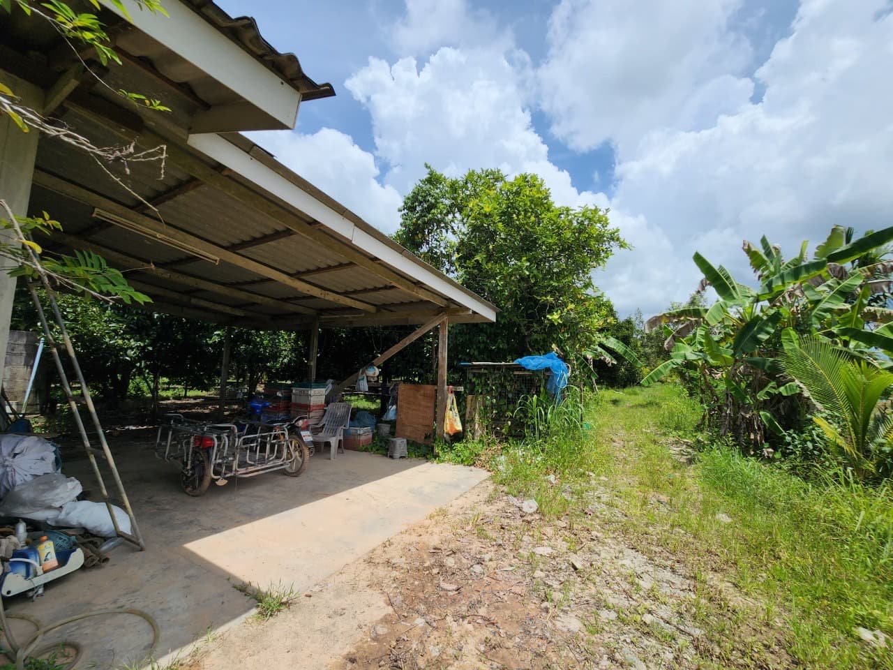 ขายสวนผลไม้ เงาะ มังคุด ทุเรียน ลองกอง ราคาถูก พร้อมบ้านพัก นํ้าไฟเข้าถึง ทางเข้าออกสะดวกสบายบรรยากาศดีเจ้าของขายเอง อำเภอมะขาม จังหวัดจันทบุรี