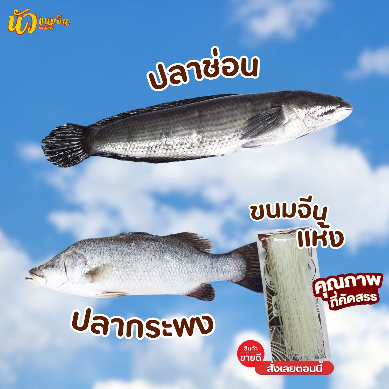ปลาช่อน ปลากระพง ทำน้ำยาขนมจีน