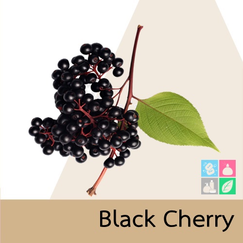 Cherry :Black Cherry หัวน้ำมันหอม เชอรี่ดำ sweet milky sour and earth หอมเชอรี่กรุ่นกลิ่นไม้หอม เพิ่มความสนุก และจินตนาการ ละลายในแอกอฮอล์และน้ำมัน - ไม่เร่งเทรซ COA