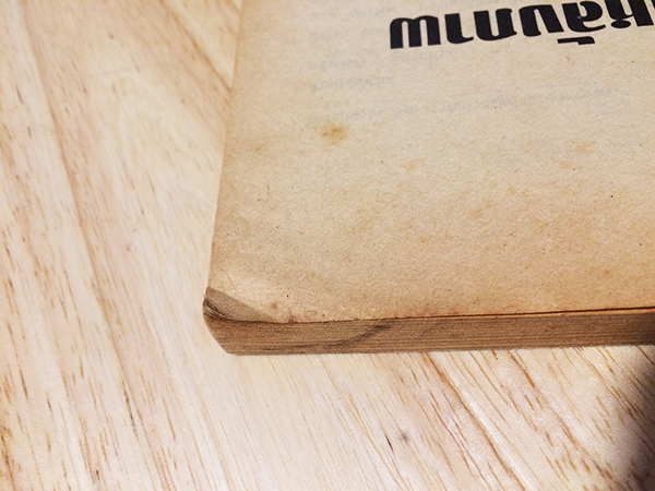 ข้างหลังภาพ