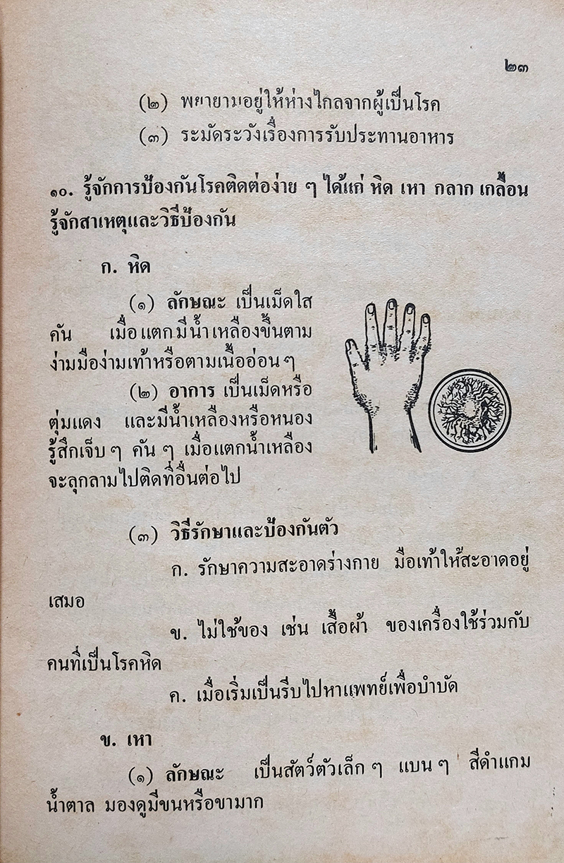 คู่มืออนุกาชาด 1 สำหรับประโยคประถมศึกษา
