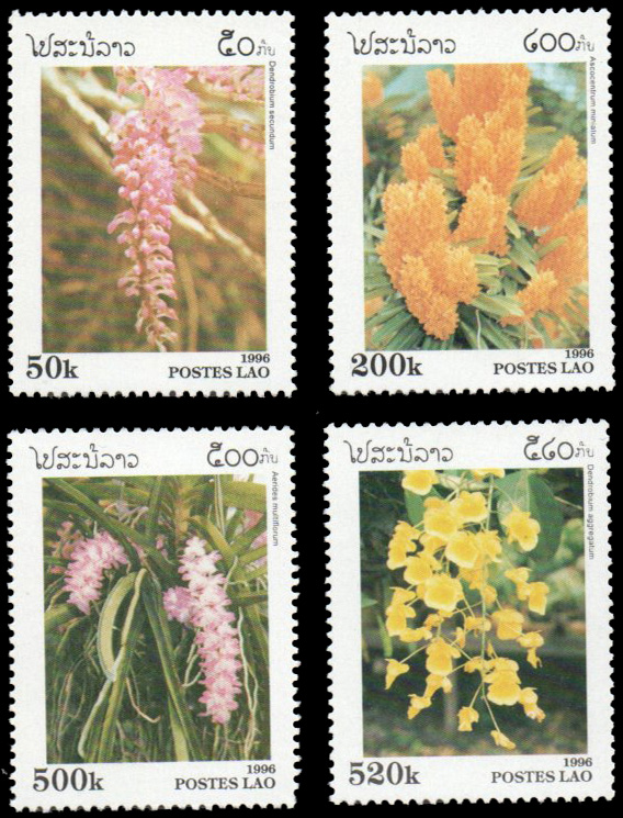 Flowers 1996
