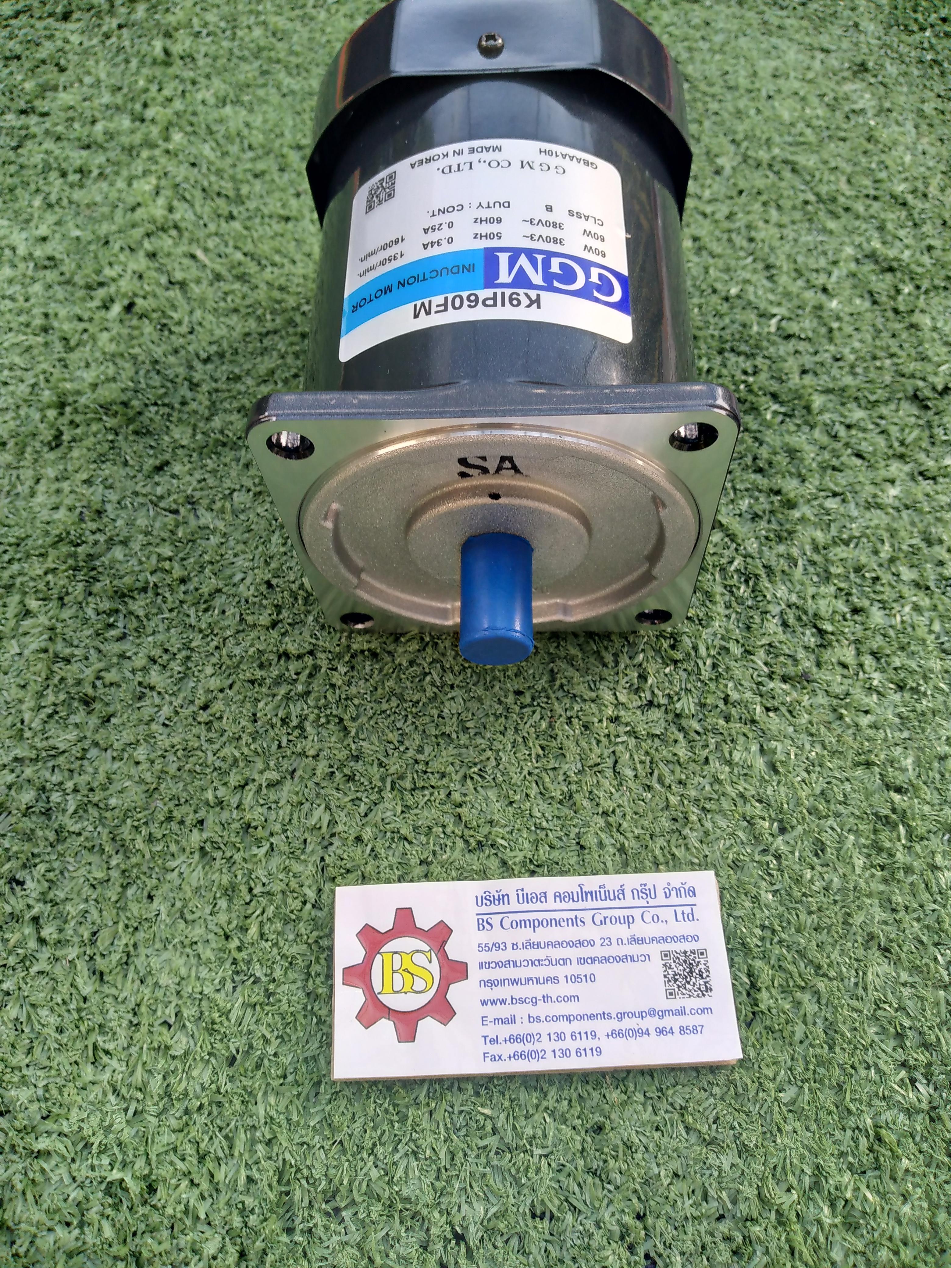 GGM : INDUCTION MOTOR MODEL : K9IP60FM