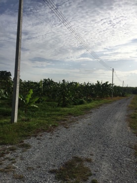 ขายที่ดินจัดสรรค์สวยราคาถูกติดถนน 3 ด้านห่างทุ่งดินดำรีสอร์ท 548 เมตร ใกล้อบต. เลาขวัญ 2.8 กม. รพ.เลาขวัญ4.8กม.อ.อู่ทอง จ.สุพรรณบุรี