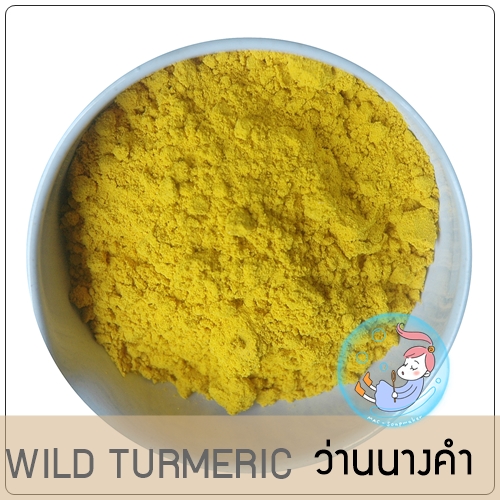 WILD TURMERIC POWDER /พญาว่าน /ผงว่านนางคำ