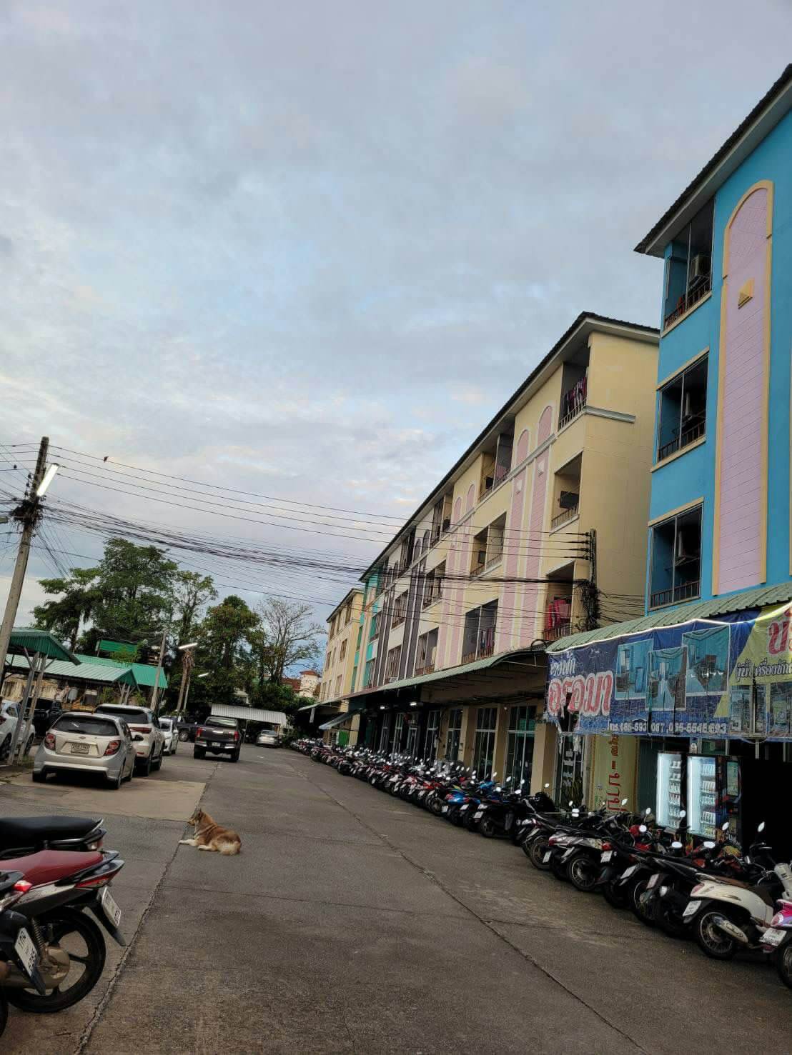 ขายหอพักใกล้มหาวิทยาลัยนเรศวร 300 เมตร อำเภอเมืองพิษณุโลก 4 คูหา 4 ชั้น 28 ห้อง บริการห้องพักรายเดือนเหมาะสำหรับผู้กำลังมองหาธุรกิจด้านอสังหาริมทรัพย์