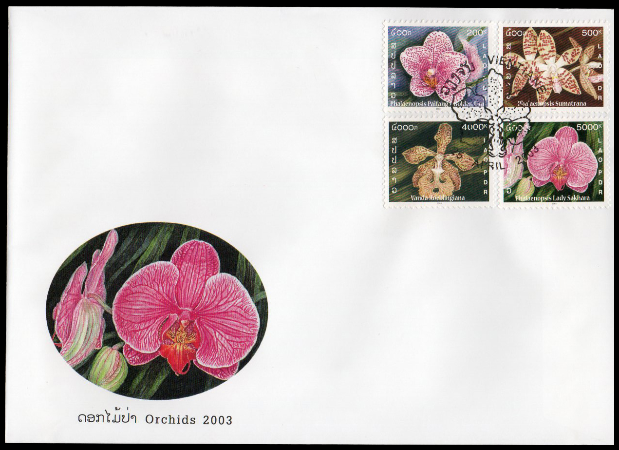 Orchids 2003