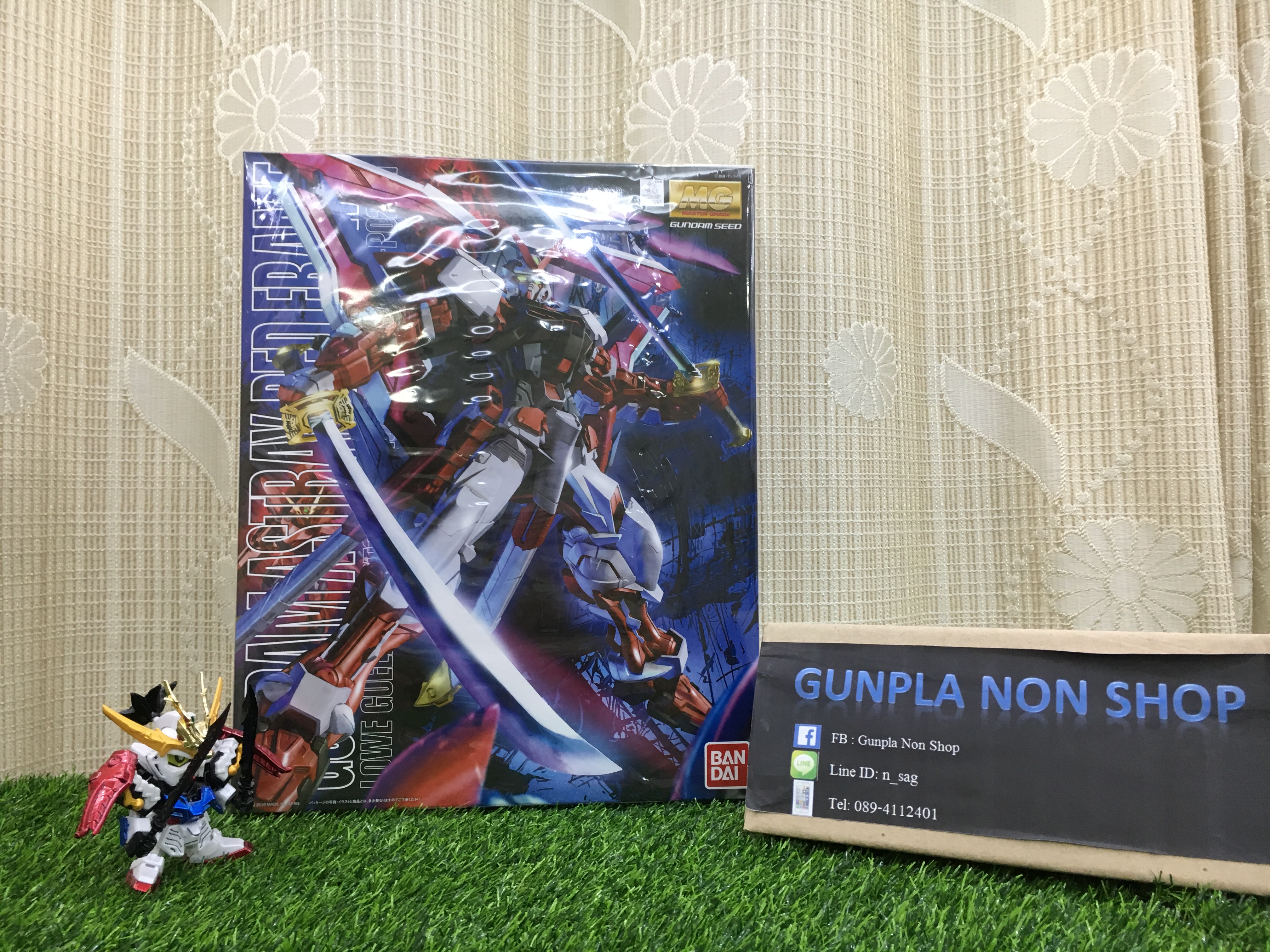 MG 1/100 ASTRAY RED FRAME REVISE