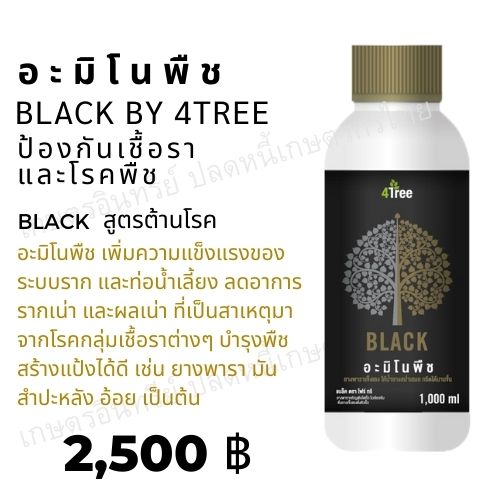 อะมิโนแบล็ค black