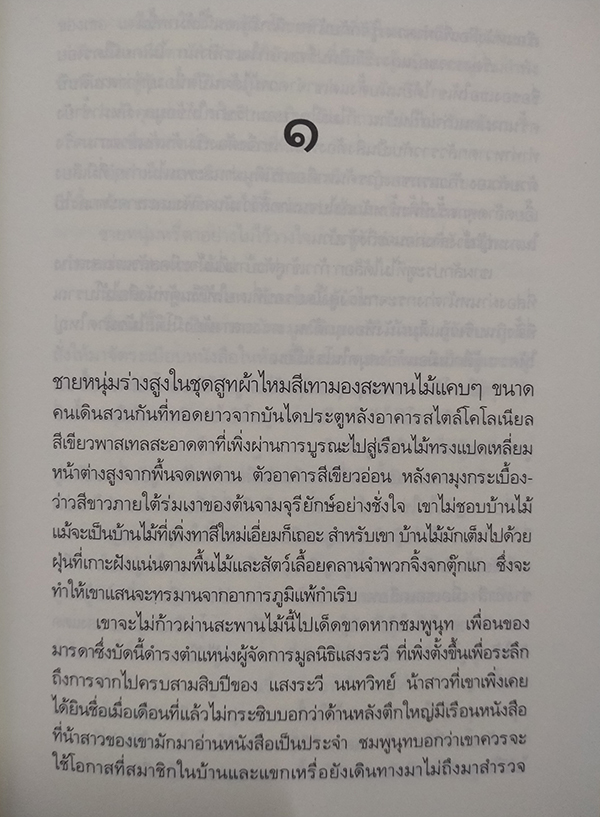 สะดุดรักคุณนักสืบ