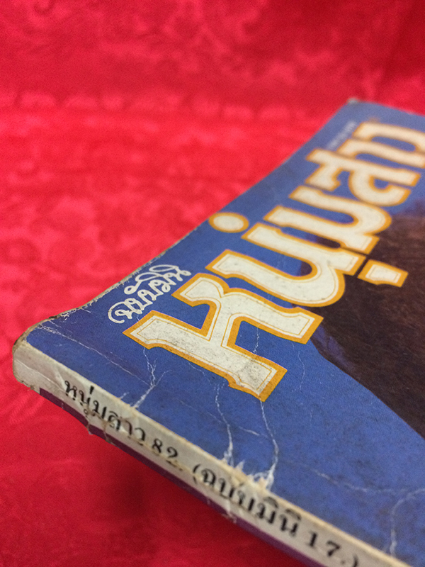 หนุ่มสาว ฉบับมินิ เล่มที่ 17