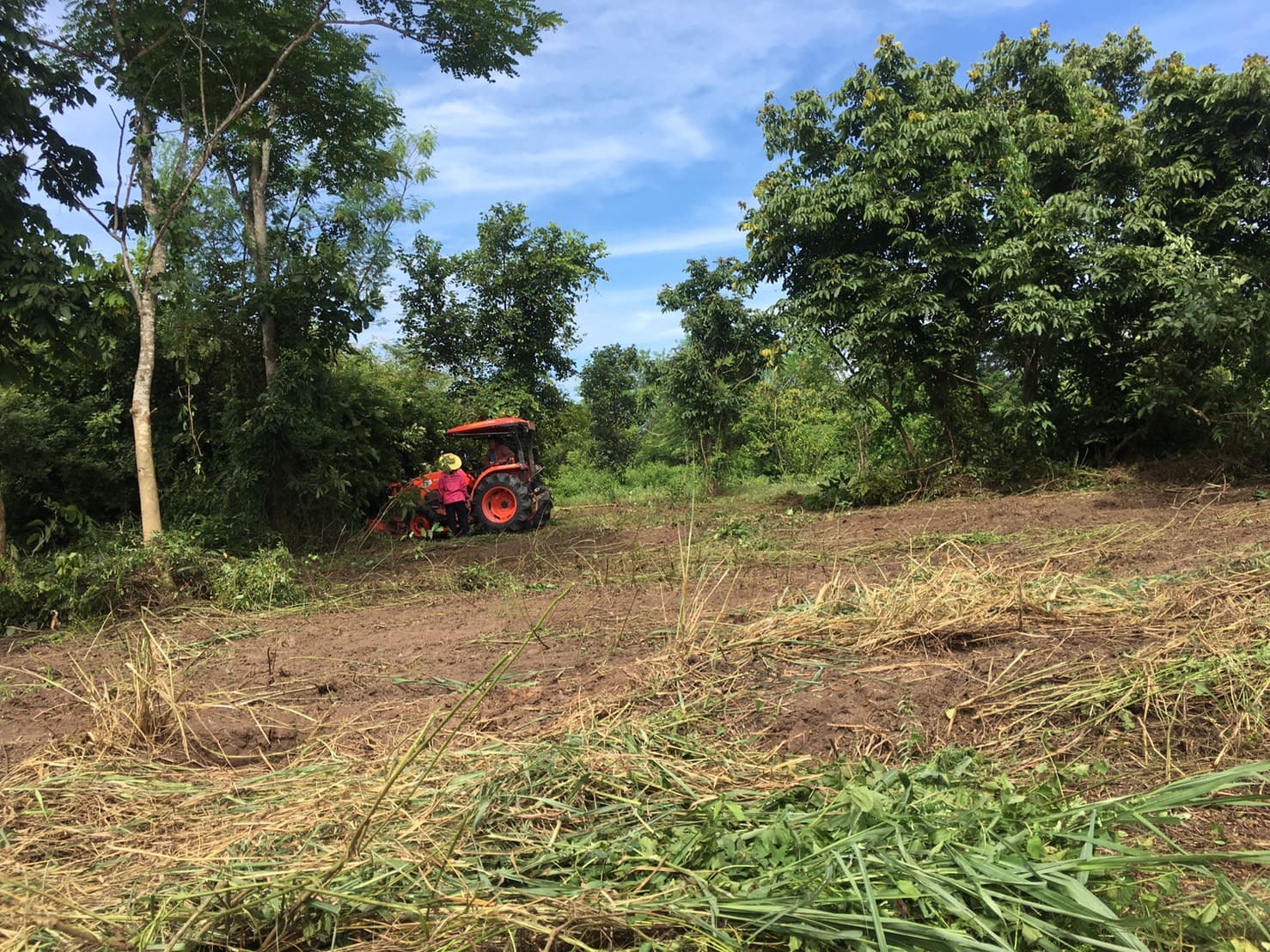 ขายที่ดินสวยราคาถูกใกล้ตัวเมืองหนองคายห่างจากสำนักงานพัฒนาฝีมือแรงงานหนองคาย 3.9 กม.