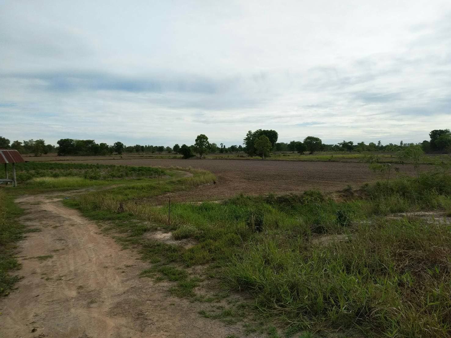 ด่วนขายที่ดินราคาถูกใกล้ถนนใหญ่พหลโยธิน 2.6 กม.ห่างจากปั้มบางจากถนนสายเอเชีย 5 กม.61 ไร่ 2 งาน 82 ตรว.การเดินทางสะดวก อ.เมืองนครสวรรค์