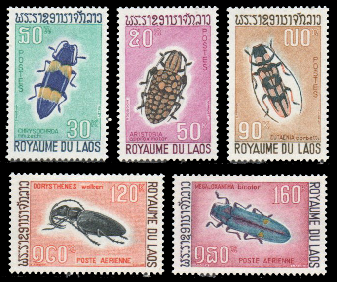 Beetles 1968