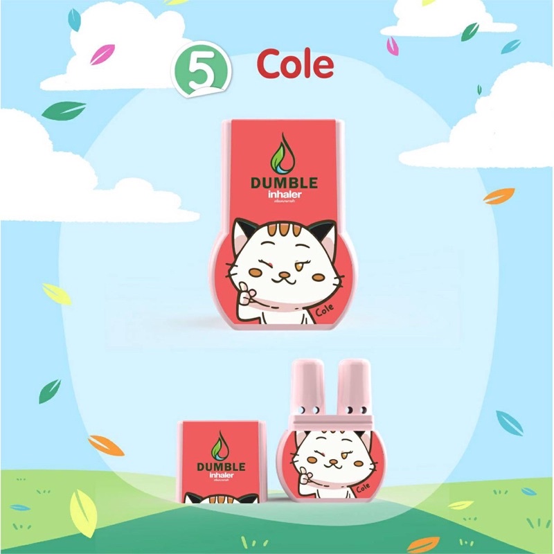 ยาดม 2 รู ยาดมสมุนไพร ยาดมดับเบิ้ล (12 ชิ้น คละลาย) Dumble Inhaler ลาย New Standard