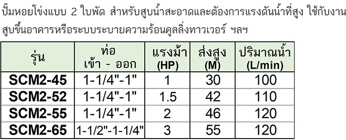 Stream ปั๊มหอยโข่งแบบ 2 ใบพัด รุ่น SCM2-45
