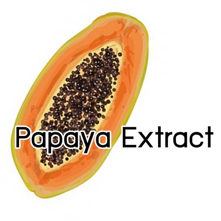 PAPAYA FRUIT EXTRACT สารสกัดมะละกอ