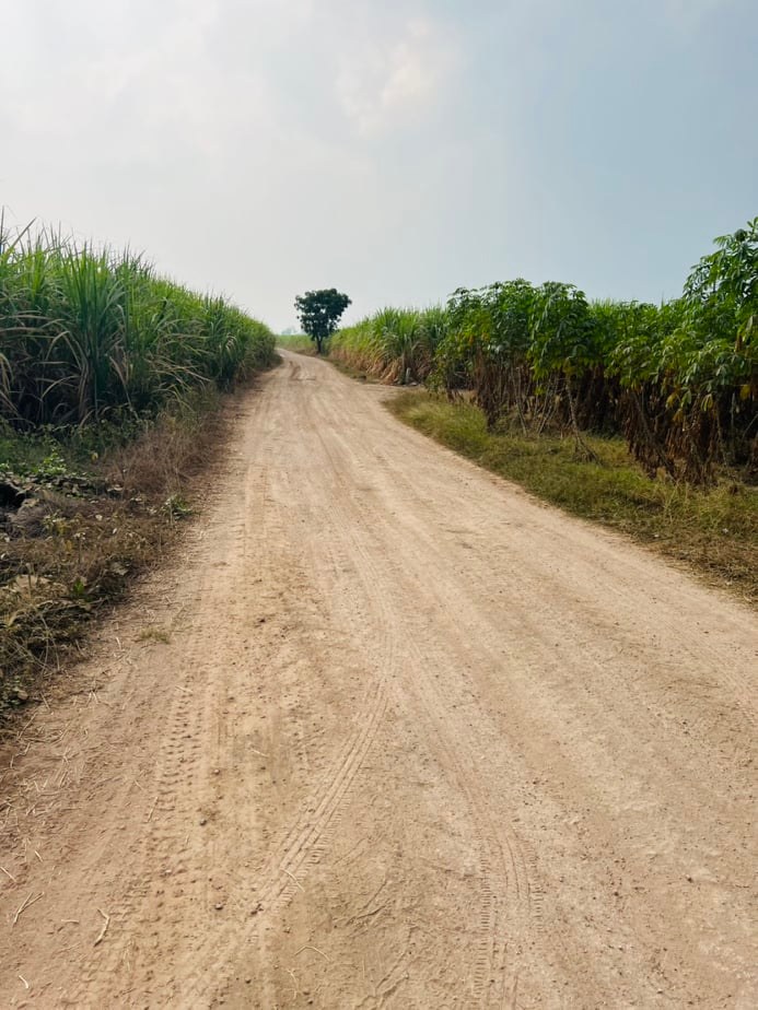 ขายที่ดินราคาถูก1.5แสนบาท/ไร่ อ.พยุหะคีรีจ.นครสวรรค์ใกล้อบต.เขาทองที่ดินสวยเหมาะทำการเกษตรปัจจุบันให้เช่าทำไร่อ้อย(มีผู้เช่า)บรรยากาศดีเดินทางสะดวก