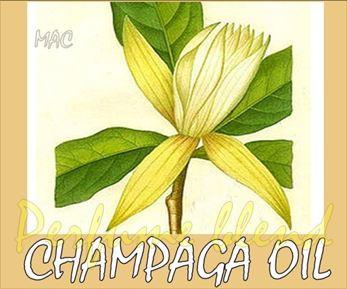 CHAMPAGA OILน้ำมันหอมระเหยผสมจำปา