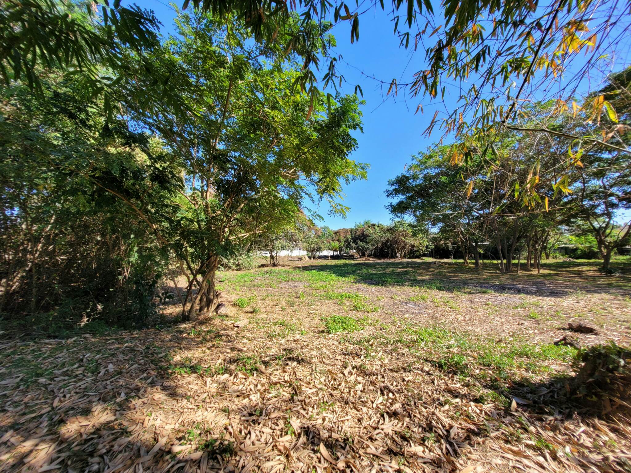 ขายที่ดินราคาถูก อ.เมืองลำปาง เจ้าของขายโดยตรง ใกล้โกบอลเฮ้าส์และเซเว่นสาขาปงแสนทองที่ดินสวยเหมาะทำธุรกิจบรรยากาศดีแบ่งขาย 3 ไร่ ติดต่อเจ้าของที่ 081-9525175 คุณอำนวย