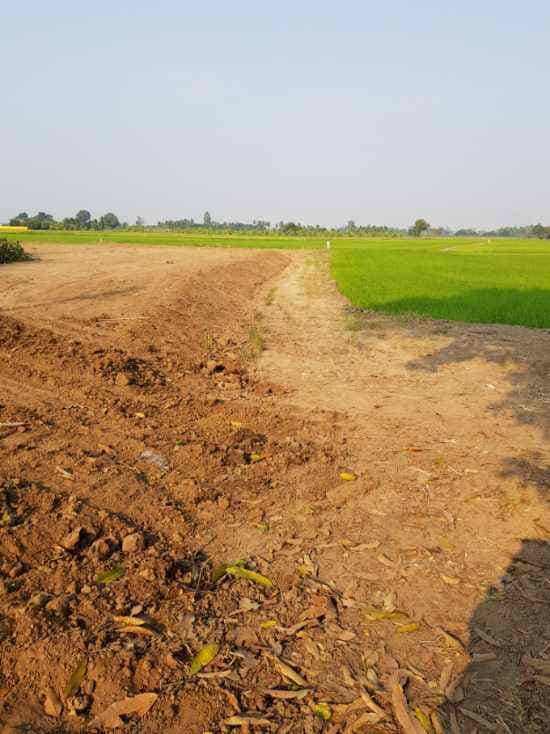 ขายที่ดินสวยราคาถูกติดถนนใหญ่ (1084) ตรงข้าม รร.วัดสังขสุทธาวาส