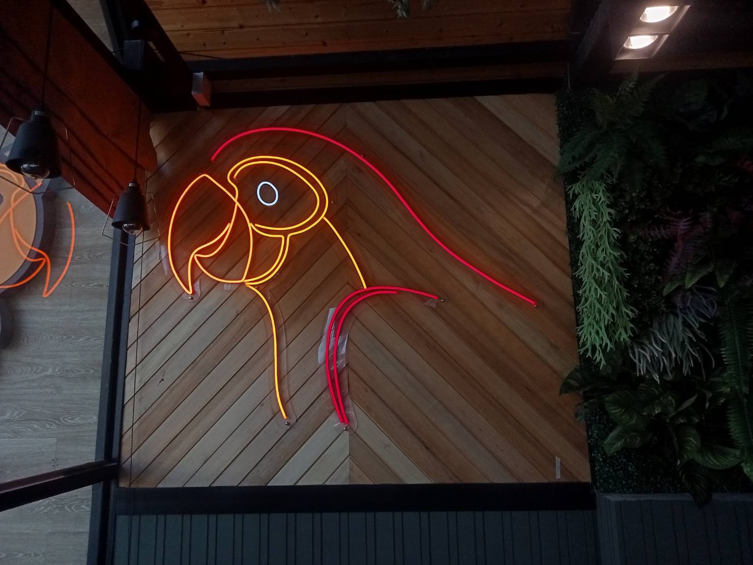 #ป้ายไฟนีออนดัดLEDรูปนกแก้ว