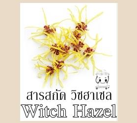 WITCH HAZELสารสกัดวิทฮาเซล ชนิดน้ำ