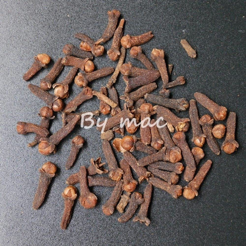 CLOVE กานพลู