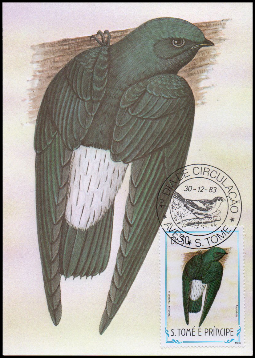 Post Cards S.Tome E Principe Bird 1983