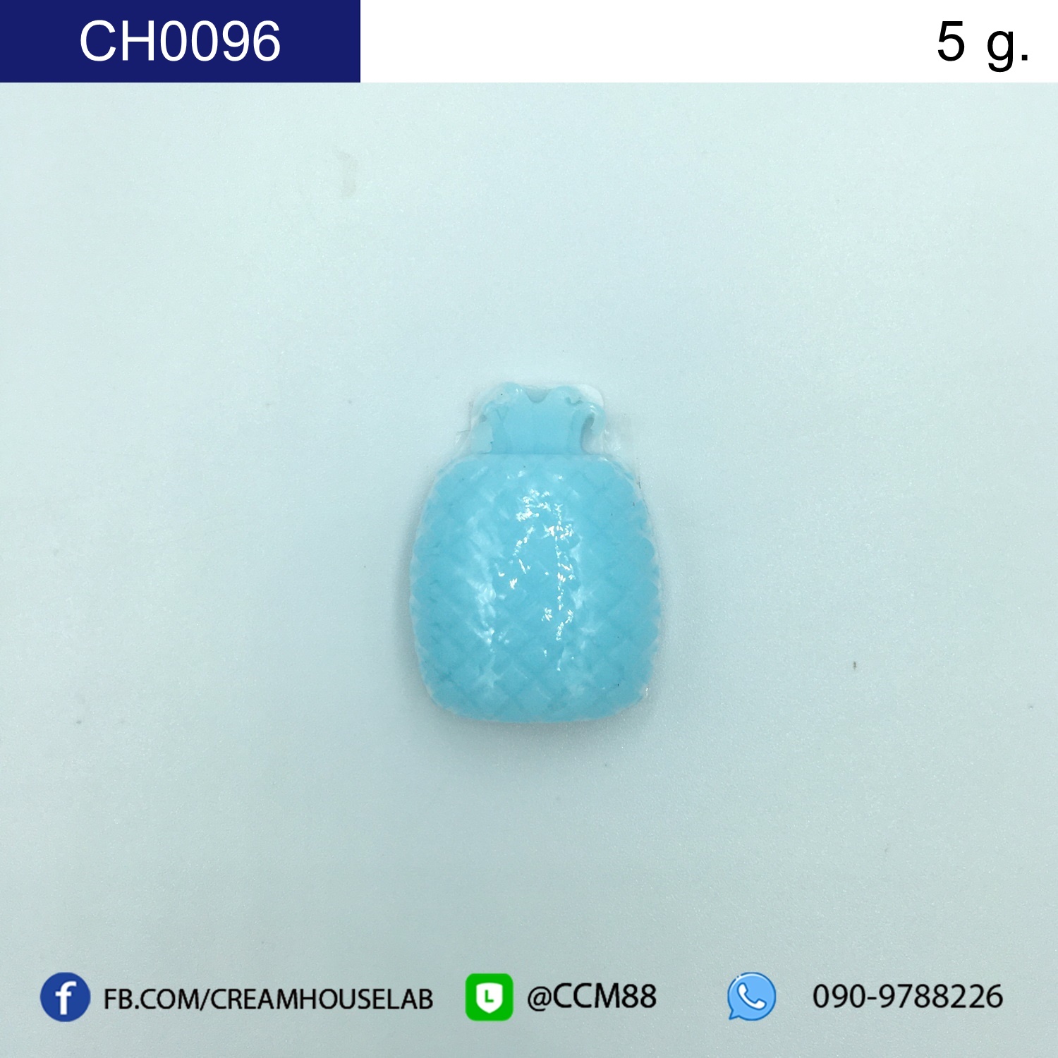 รหัส CH0096