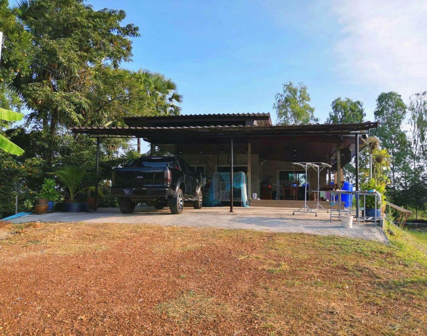 ขายสวนไผ่ซางหม่นราคาถูกเจ้าของขายเอง 47 ไร่ 45 ตารางวา ไร่ละ1.5 แสนบาท ต.หนองขุ่น อ.วัดสิงห์ จ.ชัยนาท (โฉนดครุฑแดง)