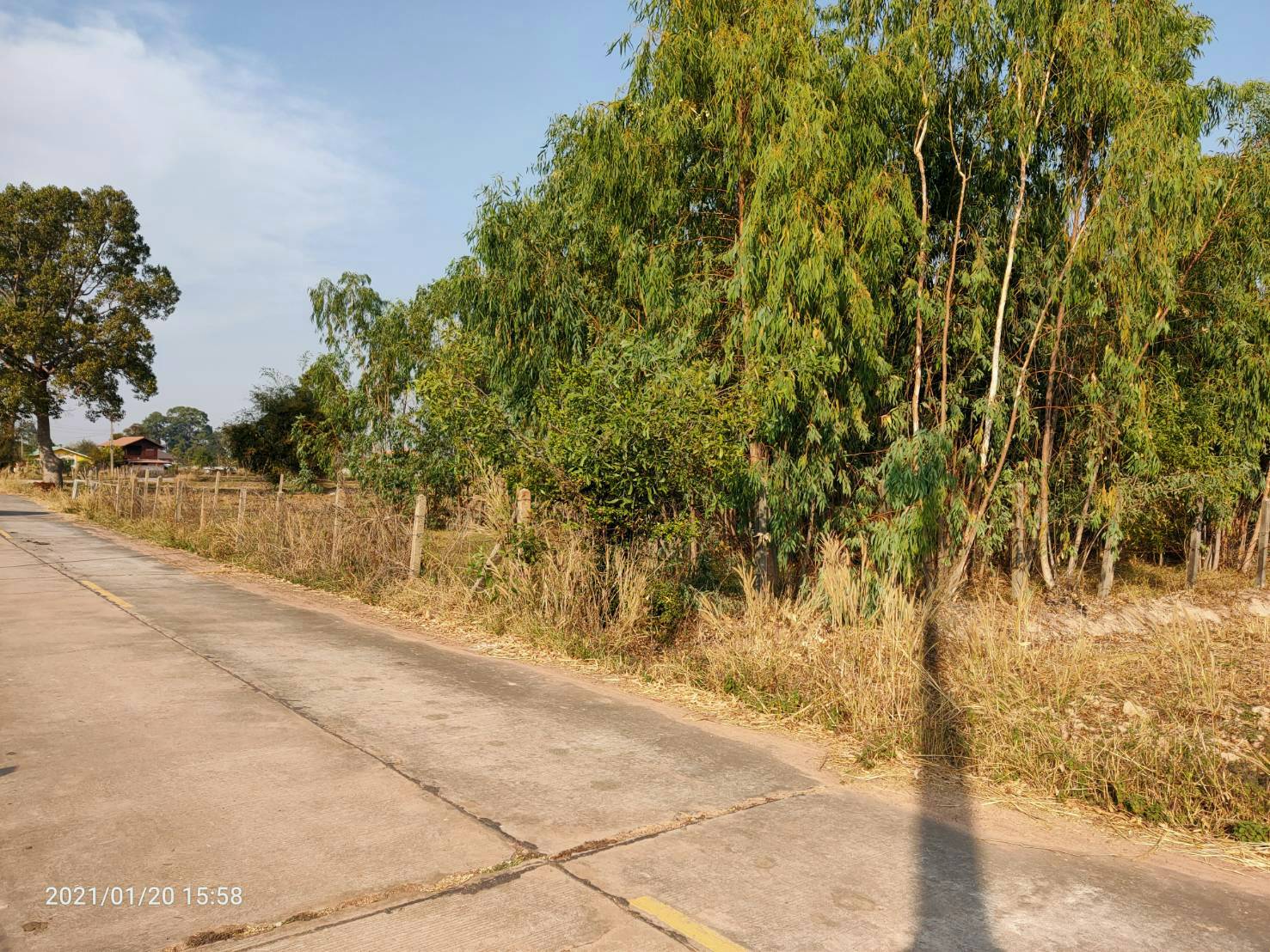 ขายที่ดินใกล้โรบินสันร้อยเอ็ด 7 ไร่ 86.4 ตรว.ติดถนนคอนกรีตบรรยากาศดีการเดินทางสะดวกสบายเหมาะทำธุรกิจอ.เมืองร้อยเอ็ด