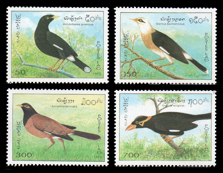 1995 Singing Birds